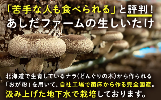 菌床 生しいたけ 900g×2 大きい 肉厚 シイタケ 椎茸 生椎茸 生シイタケ 千歳 北海道 《 あしだファーム 》