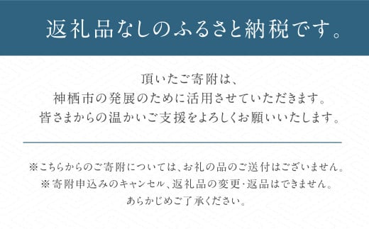 神栖市への寄附 (返礼品はありません)