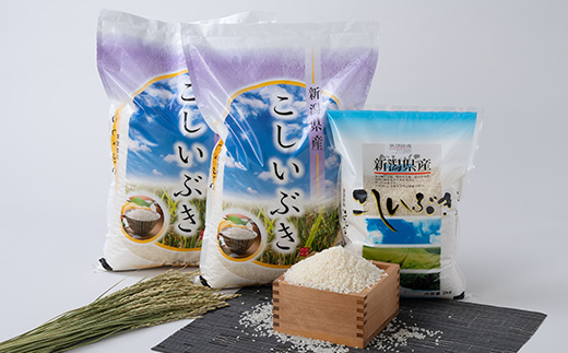 令和5年産新潟県弥彦村こしいぶき(12kg)5kg×2・2kg【1034623】