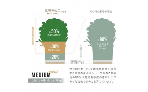 国産のえのきやきのこ使用！濃いきのこの炊き込みご飯の素(2合用×6個)国産 だし醤油 きのこご飯 椎茸 しいたけ【三笠えのき茸生産組合】a-12-59-z