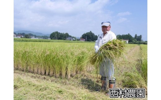 米 3kg コシヒカリ 令和6年  新米 特別栽培米 西村農園 ｜ 福島県 大玉村 お米 令和6年産 2024年産 コメ 精米 白米 こしひかり ｜nm-kh03-R6