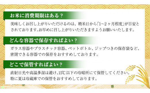 【 1月下旬発送 / 数量限定 】新米 茨城県産 2種 食べ比べ 精米 10kg (5kg×2袋） 令和6年産 こしひかり 米 コメ こめ 単一米 限定 茨城県産 国産 美味しい お米 おこめ おコメ