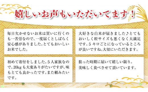 【 1月下旬発送 / 数量限定 】新米 茨城県産 2種 食べ比べ 精米 10kg (5kg×2袋） 令和6年産 こしひかり 米 コメ こめ 単一米 限定 茨城県産 国産 美味しい お米 おこめ おコメ