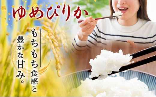 北海道 定期便 3ヵ月連続3回 令和6年産 ゆめぴりか 5kg×2袋 特A 精米 米 白米 ご飯 お米 ごはん 国産 ブランド米 肉料理 ギフト 常温 お取り寄せ 産地直送 送料無料 [№5783-0462]