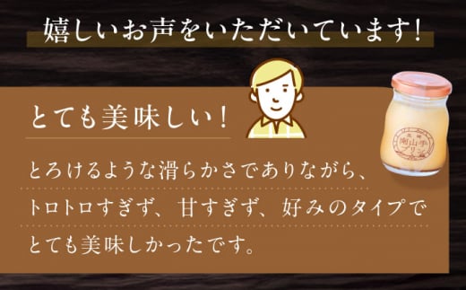 【全3回定期便】南山手プリンプレーン６個セット 長崎県/アクトフォー 株式会社 [42ABAU010]