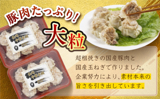 豚まん2個×8P・焼売6個×6Pセット 長崎県/九州特産品販売 [42AVAC008]