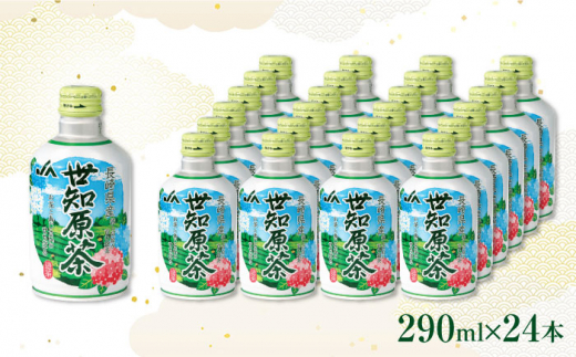 世知原茶 290ml×24本 長崎県/長崎県農協直販 [42ZZAA028] 缶 ドリンク 飲料 茶 お茶 おちゃ 飲み物 JA アルミボトル