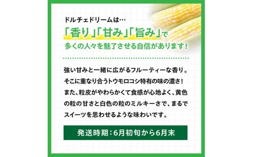 【令和8年発送】宮崎県産とうもろこし　スィートコーン「ドルチェドリーム」5本 【 とうもろこし スイートコーン コーン 野菜 】