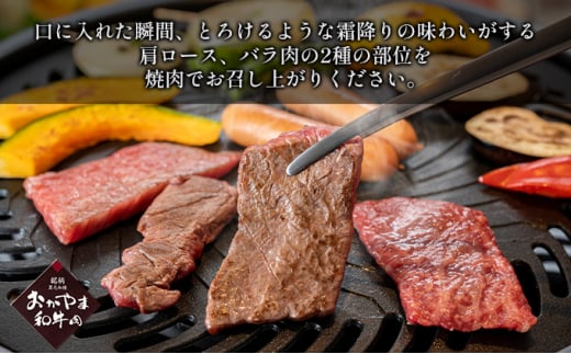 定期便 9ヶ月 おかやま 和牛肉 A4等級以上 食べ比べ 毎月 約450g×9回 岡山県産 牛 赤身 肉 牛肉 冷凍