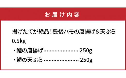 揚げたてが絶品！豊後ハモの唐揚げ＆天ぷら/0.5kg_0275N