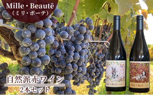 Mille・Beauté (ミリ・ボーテ）無添加 無濾過 赤ワイン 2本セット [№5915-1109]