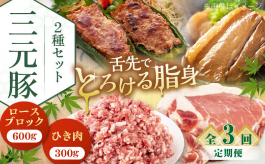  肉 豚肉 ブロック ステーキ ステーキ用 ロース ロースステーキ 