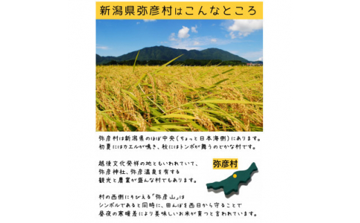 お家で簡単!＜ 熟成玄米ご飯(酵素玄米) ＞手作りセット　3合パック×4個　新潟県弥彦村産コシヒカリ【1522133】