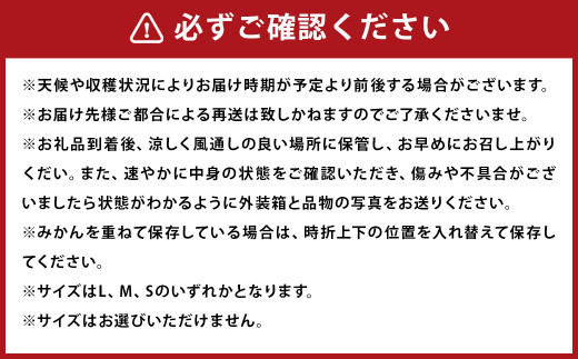 長崎県産 訳あり 温州 みかん 10kg