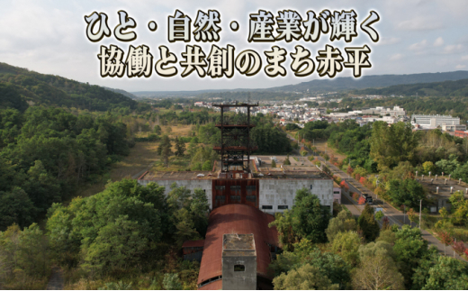 赤平長持ち胡蝶蘭白花大輪3本立て（36輪以上）