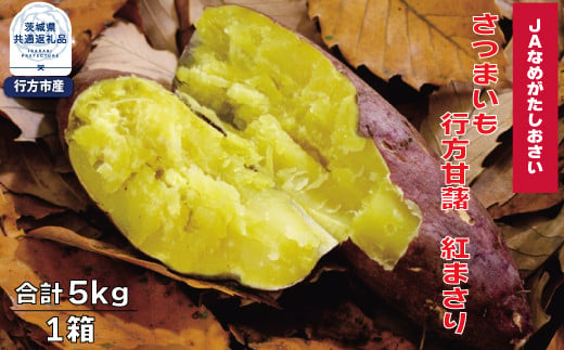 【先行予約】さつまいも　行方甘藷　紅まさり　5kg（茨城県共通返礼品・行方市産）