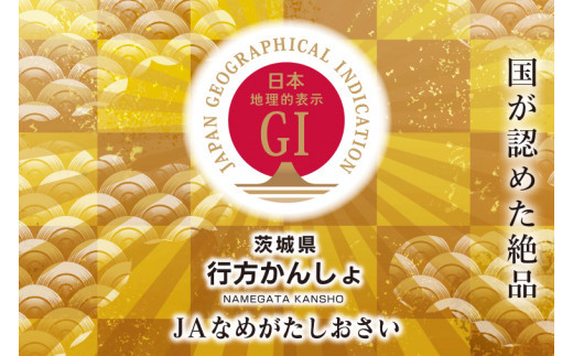 【先行予約】さつまいも　行方甘藷　紅まさり　5kg（茨城県共通返礼品・行方市産）