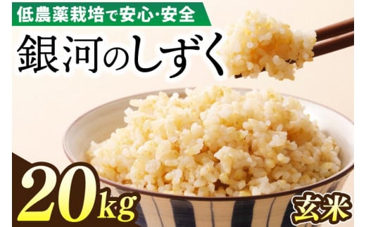 【新米】令和6年産 銀河のしずく 20kg (玄米) 低農薬栽培米 生産者直送 生産地域限定ブランド米 (EI019)