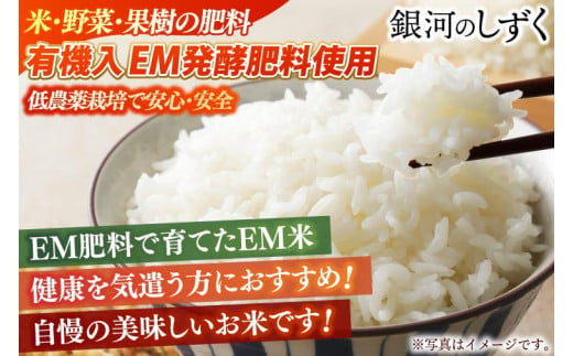 【新米】令和6年産 銀河のしずく 20kg (玄米) 低農薬栽培米 生産者直送 生産地域限定ブランド米 (EI019)