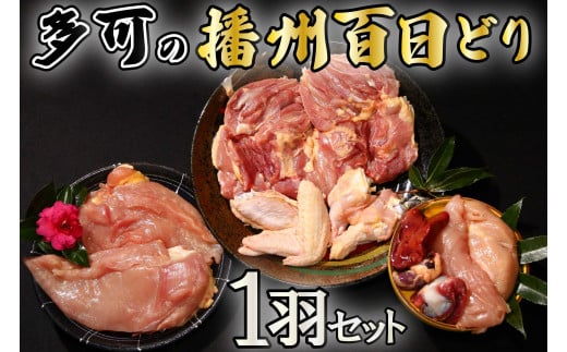 もも肉、むね肉、ささみ、肝、砂肝、手羽先、手羽元　〔各1羽分〕