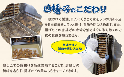 1530 因幡っ子 ジューシー鶏もも唐揚げ