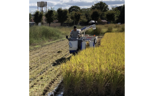 循環農法で育てたヒノヒカリ　玄米20キロ　栽培期間中農薬・化学肥料不使用【1364119】