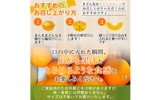 紅まどんなと同品種！＜木下さんちのまどんな 約5kg 家庭用＞ 柑橘類 みかん ミカン 果物 くだもの フルーツ 不揃い 愛媛果試第28号 特産品 マドンナ 木下農園 西宇和 愛媛県 西予市【常温】