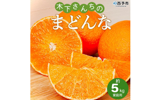 紅まどんなと同品種！＜木下さんちのまどんな 約5kg 家庭用＞ 柑橘類 みかん ミカン 果物 くだもの フルーツ 不揃い 愛媛果試第28号 特産品 マドンナ 木下農園 西宇和 愛媛県 西予市【常温】