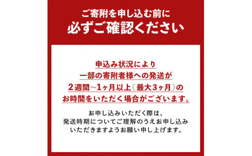 FYN9-672 栄養満点！スーパー大麦もち麦・玄米ごはん 24個セット 山形県産つや姫 パックライス パックごはん お米 玄米 保存食 備蓄 常温 レンジ 簡単