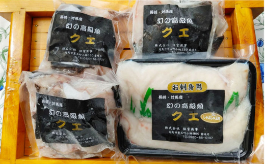 【24年11月より順次発送】対馬産 幻の高級魚 クエ 2kg《対馬市》【保家商事】 くえ 高級魚 アラ 魚 クエ 希少 人気 ランキング 冷凍 対馬 長崎 九州 つしま 対馬市 海鮮 魚介 [WAA003]