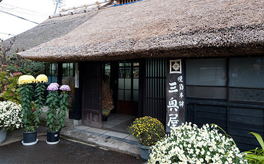 《株式会社三奥屋》 特製 晩菊 130g×2袋 山形県 高畠町 漬物 漬け物 つけもの きく キク F20B-016