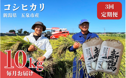 【3回定期便】【令和6年産新米】 なごみ農園のコシヒカリ 10kg (5kg×2袋) 新潟県 五泉市 なごみ農園