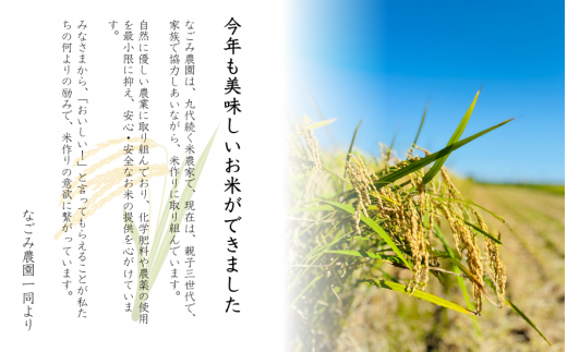 【3回定期便】【令和6年産新米】 なごみ農園のコシヒカリ 10kg (5kg×2袋) 新潟県 五泉市 なごみ農園