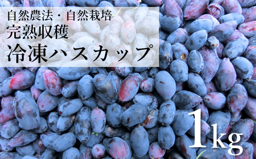 自然農法 冷凍 ハスカップ ( 1kg )  完熟収穫 栽培期間中 農薬不使用 農家 直送 遠野もぐもぐカントリー