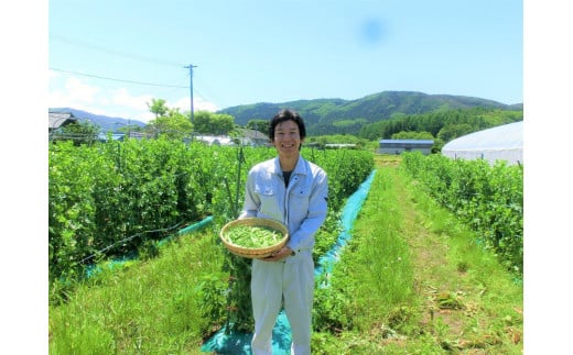 自然農法 冷凍 ハスカップ ( 1kg )  完熟収穫 栽培期間中 農薬不使用 農家 直送 遠野もぐもぐカントリー