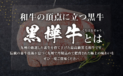 くまもと黒毛和牛 杉本本店 黒樺牛 A4~A5等級 ロースステーキ 200g×2 計400g