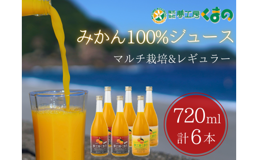 完熟 温州みかん 使用！ 無添加 ストレートジュース マルチ ･ レギュラー 2種セット 720ml × 6本 ( 各3本 段ボール箱 )　温州 みかん 100% オレンジジュース  ご自宅用 子供 三重県 熊野市