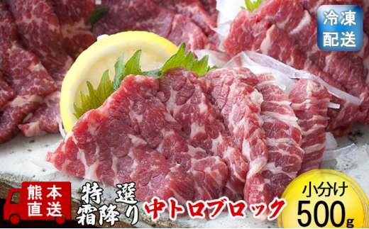 馬刺し 特選 霜降り 中トロ 500g ブロック 熊本直送 国内肥育 馬刺 馬肉 肉 お肉 冷凍 国産 又は カナダ産 配送不可：離島