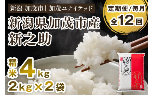 【令和6年産新米先行予約】【定期便12ヶ月毎月お届け】新潟県産 新之助 精米4kg 《2kg×2袋》 新潟 ブランド米 加茂市 加茂ユナイテッド