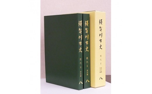 須賀川市史第8巻　現代4【1020348】