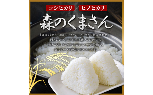 【 定期3回 】森のくまさん 白米 20kg （5kg×4袋）×3回 | 米 お米 精米 白米 20kg 5kg 4袋 3回 定期便 送料無料 熊本県産 