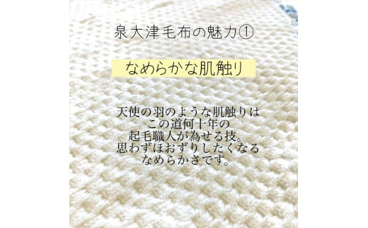 【アイボリー×ベージュ】【名入れ可】ハートの形が機能的！ありそうでなかったベビーブランケット ハートブランケット (泉大津毛布) [3163]