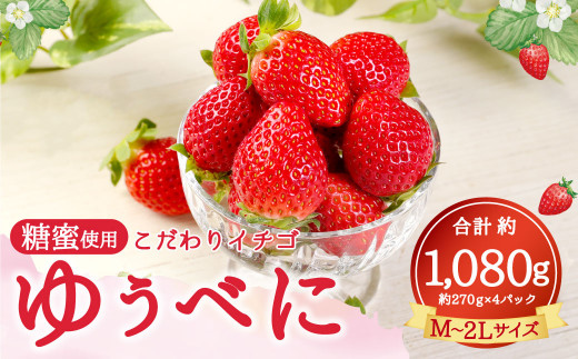 糖蜜使用・こだわりイチゴ  ゆうべに 約270g×4パック M~2Lサイズ