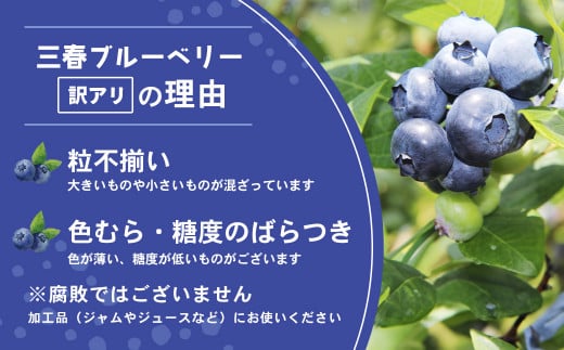 【訳アリ】三春冷凍ブルーベリー 1kg×2袋／計2kg【三春町産 冷凍ブルーベリー 大粒 福島県 三春町 三春ブルーベリー倶楽部 有機質肥料 果物 国産 フルーツ 果実 旬】　【07521-0110】