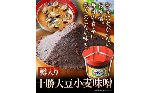 北海道十勝 醗酵食品「樽入り味噌（十勝大豆小麦味噌）」2kg 十勝本別産大豆 渋谷醸造株式会社 《60日以内に出荷予定(土日祝除く)》 北海道 本別町  送料無料