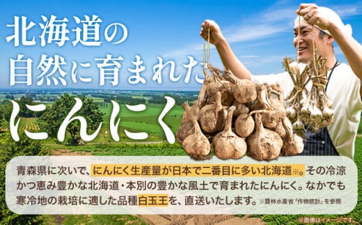 土付き にんにく 白玉王 1kg Lサイズ 本別町産 斎啓一 【先行予約】《2025年8月中旬-9月末頃出荷》北海道 本別町 送料無料 ニンニク ガーリック 乾燥にんにく スタミナ 野菜 1キロ 先行予約