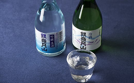 FYN9-303 山形の地酒【銀嶺月山】冷酒飲みくらべセット各300ml×6本 山形県 西川町