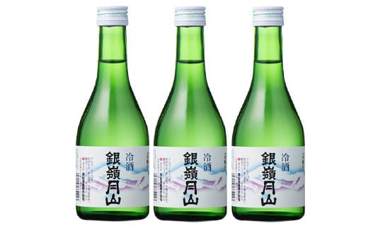 FYN9-303 山形の地酒【銀嶺月山】冷酒飲みくらべセット各300ml×6本 山形県 西川町