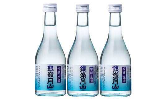 FYN9-303 山形の地酒【銀嶺月山】冷酒飲みくらべセット各300ml×6本 山形県 西川町