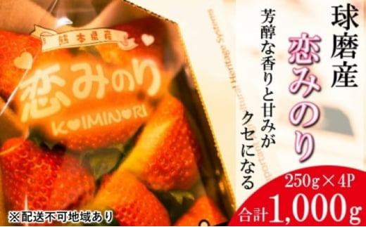 いちご 先行予約 約250g×4P 3Lサイズ 錦町産 恋みのり 苺 イチゴ  デザート フルーツ 2023年12月上旬より順次発送 配送不可:離島